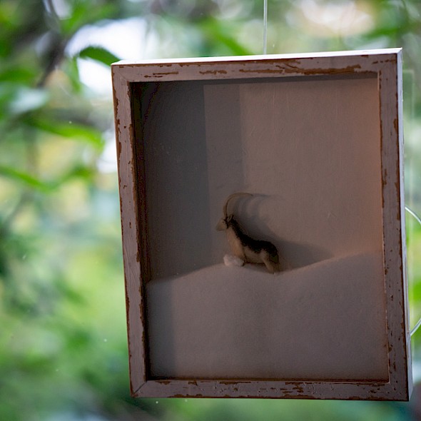 paths through my garden &ndash; Mark Sieczkarek